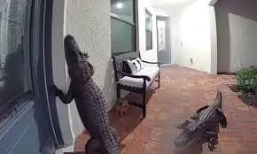 Prodej krásného domu