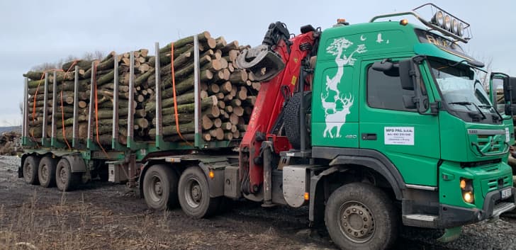 Prodej Náklaďák na dřevo